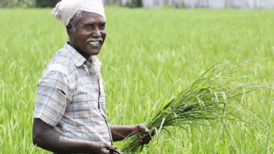 Photo of हरियाणा: खेत से ट्रांसफार्मर के चोरी या खराब होने पर अब किसाने से नहीं लिया जाएगा शुल्क