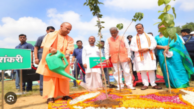 Photo of सीएम योगी ने किया ‘पेड़ लगाओ पेड़ बचाओ अभियान’ का शुभारंभ