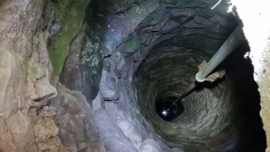 Photo of जंगल में सालों पुराने कुएं के अंदर भेजा गया कैमरा, नजारा देख खौफ में आए लोग