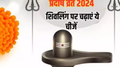 Photo of सावन के पहले प्रदोष व्रत पर शिवलिंग पर अर्पित करें विशेष चीजें