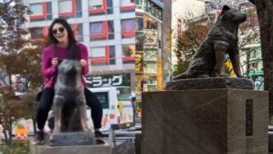 Photo of कुत्ते की प्रतिमा पर बैठकर फोटो खिंचवाने लगी महिला, अपमान देख भड़के लोग!