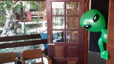 Photo of भेस बदल कर घूमते हैं, सरकार की इजाजत से है गुप्त ठिकाना