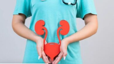 Photo of Kidney Health को सुधारने में मददगार हैं ये 5 फूड्स