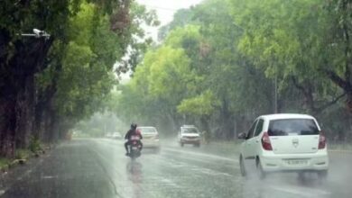 Photo of दिल्ली-यूपी से लेकर पंजाब और हरियाणा में आज बारिश का अनुमान, येलो अलर्ट जारी