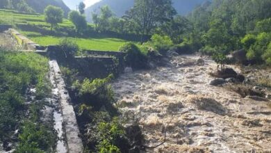 Photo of बादल फटने से नाकुरी गाड़ के बरसाली में भारी तबाही, आंखों के सामने बिखर गया सब कुछ