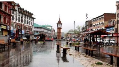 Photo of  श्रीनगर में दर्ज हुई सीजन की सबसे गर्म रात, 132 वर्षों में तीसरा सबसे अधिक न्यूनतम तापमान