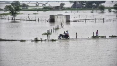 Photo of यूपी में 20 जिलों के 900 गांव बाढ़ की चपेट में, सीएम योगी बोले- पीड़ितों को 24 घंटे में दें मुआवजा