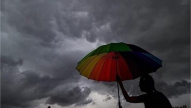 Photo of मानसून की पिछली कमी होगी पूरी, आज से 5 दिनों तक प्रदेश में झमाझम बारिश के आसार