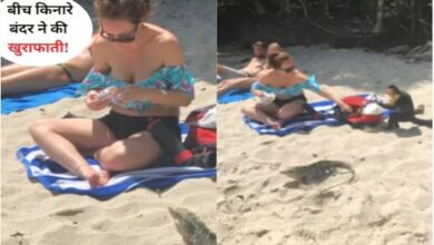 Photo of समंदर किनारे यूं बैठी थी महिला, छिपकली को खिलाने लगी खाना