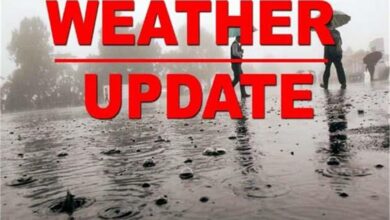 Photo of पंजाब में बदला मौसम, झमाझम बारिश से उमस भरी गर्मी से मिली राहत