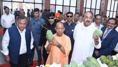 Photo of  मुख्यमंत्री योगी ने आम महोत्सव का किया शुभारंभ