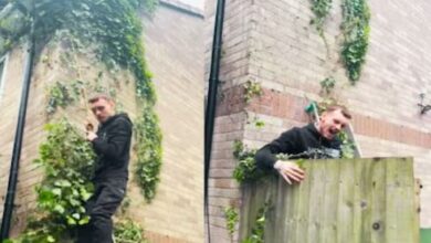 Photo of पेड़ की लता पकड़कर लटका था शख्स, अगले ही पल हुआ कुछ ऐसा, तुड़वा लिया मुंह!