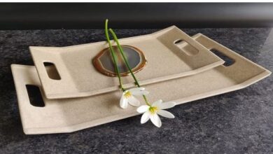 Photo of कौन हैं अनुभव: बांस को बनाया प्लास्टिक का विकल्प, खड़ी की दस करोड़ की कंपनी