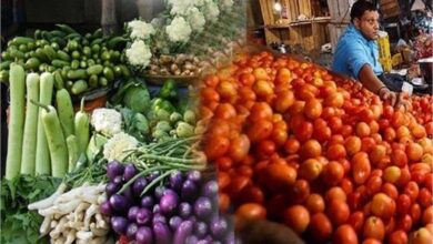 Photo of पंजाब: आसमान छूने लगे टमाटर के भाव,  यहां जानें अन्य सब्जियों के रेट