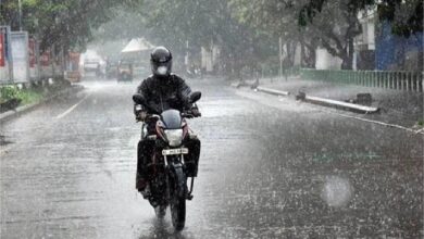 Photo of  हरियाणा में इस दिन तक रहेगा Monsoon का असर, आज इन 7 जिलों में बारिश का Alert