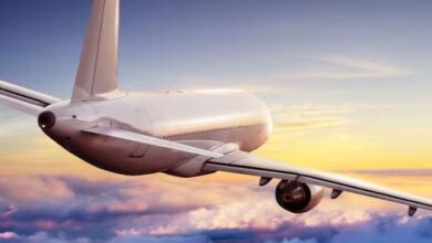 Photo of हवा में भिड़ गए मियां-बीवी, रास्ते से लौटानी पड़ी फ्लाइट, मारपीट देख घबराया स्टाफ