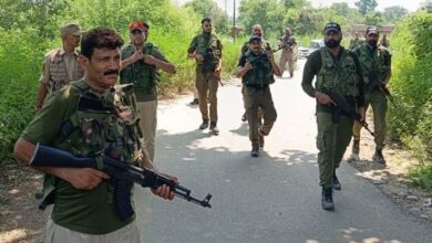 Photo of घरोटा में दिखे संदिग्ध, पुलिस और एसओजी ने चलाया सर्च ऑपरेशन