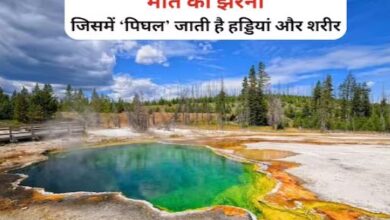 Photo of खौलते पानी का झरना, जिसमें गलती से गिरा शख्स, चंद मिनट में मर गया