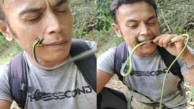 Photo of सांप ने पकड़ लिया युवक का गाल, तभी लड़के ने लिया ऐसा बदला