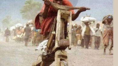 Photo of यहां लकड़ी से बनता है स्कूटर, बिना बिजली-पेट्रोल के करता है काम