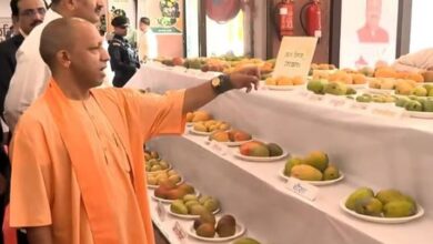 Photo of  यमकेश्वर का आम देखते ही खुश हुए मुख्यमंत्री योगी