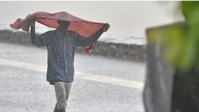 Photo of पंजाब में बरसात से पारा गिर कर पहुंचा सामान्य के नजदीक