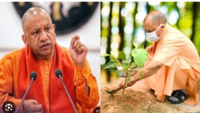 Photo of 20 जुलाई को यूपी में मनाया जाएगा ‘पेड़ लगाओ-पेड़ बचाओ जन अभियान’