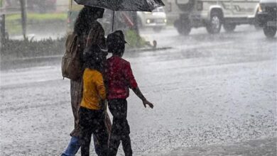 Photo of पंजाब सहित कई राज्यों में बारिश, आंधी-तूफान की चेतावनी