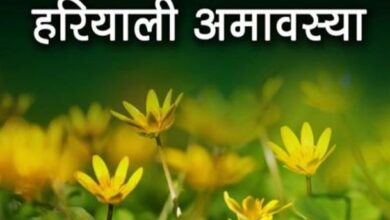 Photo of हरियाली अमावस्या के दिन इस नियम से करें पूजा, नोट करें स्नान-दान का शुभ मुहूर्त