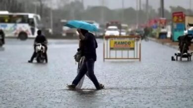 Photo of IMD ने महाराष्ट्र, गोवा, केरल के लिए जारी किया रेड अलर्ट, आज रहेंगे स्कूल बंद