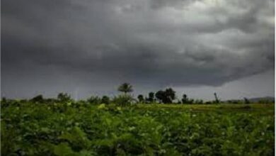 Photo of हरियाणा में येलो अलर्ट जारी, पश्चिमी विक्षोभ सक्रिय.. 