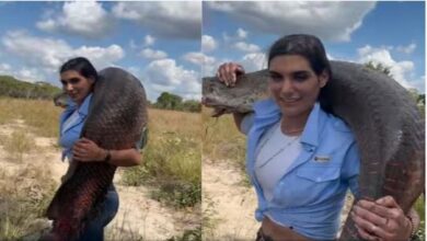 Photo of महिला के हाथ लगी भारी-भरकम मछली, वजन जानकर उड़ जाएंगे होश