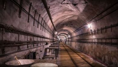 Photo of बड़े शहर की सड़कों के नीचे छिपा है अलग ही संसार, मीलों तक फैला है जाल