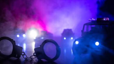 Photo of हरियाणा: काला खैरमपुरिया का खास गुर्गा रोहित थाइलैंड से गिरफ्तार