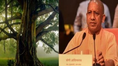 Photo of योगी सरकार ने की उपवन योजना की शुरुआत, हरे भरे होंगे यूपी के शहर