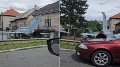 Photo of घनी बस्ती के बीचोंबीच घर, बगीचे में खड़ा दिखा फाइटर जेट!