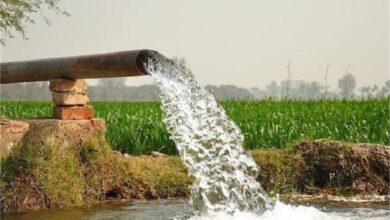 Photo of पंजाब के लिए खतरे की घंटी, हैरान कर देगी ये रिपोर्ट