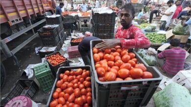 Photo of टमाटर की कीमतों ने पेट्रोल-डीजल को भी दे दी मात