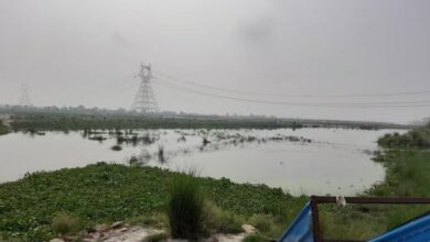 Photo of दिल्ली: यमुना में नहाने गए तीन दोस्त डूबे, दो हुए लापता