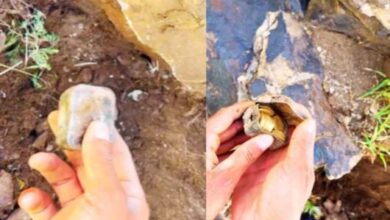Photo of मेटल डिटेक्टर ने दिखाया रास्ता, जैसे ही शख्स ने तोड़कर हटाई चट्टान…