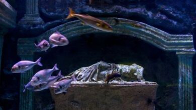 Photo of समंदर की गहराई में छुपा मिला ‘पाताल लोक’, नजारा देख फटी की फटी रह जाएंगी आंखें