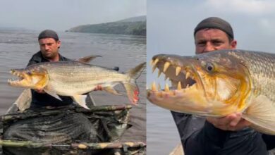 Photo of आदमी ने पकड़ी बड़ी मछली, लेकिन परिवार नहीं बल्कि एक पूरे गांव के लिए होगी खुशी की बात!