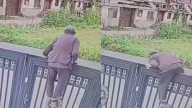 Photo of 92 साल की दादी ने किया धमाल, नर्सिंग होम से भागने के लिए 2 मीटर का गेट चढ़ कर किया पार