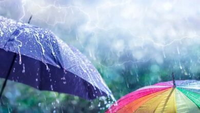 Photo of हरियाणा में फिर एक्टिव होगा मानसून, 2 दिन हैवी रेन का अलर्ट