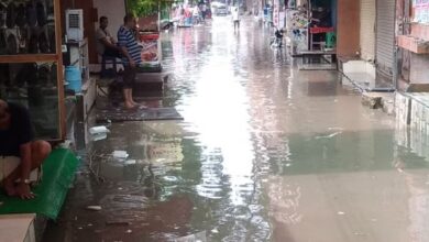 Photo of हरियाणा : सिर्फ फतेहाबाद, महेंद्रगढ़ और नूंह में मानसून मेहरबान