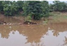 Photo of करौली : लगातार हो रही बरसात से आवागमन अवरुद्ध, ग्रामीण क्षेत्रों में 3 से 4 फीट पानी भरने से रास्ते बंद