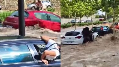 Photo of खिलौने की तरह बही कारें, जान बचाने के लिए गाड़ियों पर चढ़े लोग! 