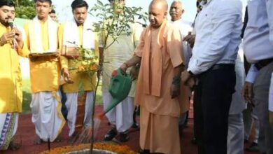Photo of व्यापक जनसहभागिता से एक दिन में 36.50 करोड़ पौधरोपण का बना नया कीर्तिमान: सीएम योगी