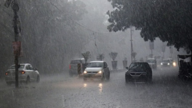 Photo of पंजाब में सुबह-सुबह बदला मौसम का मिजाज, झमाझम बारिश