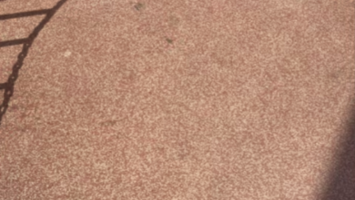 Photo of तस्वीर में ढूंढनी है एक गुलाबी अंगूठी, आसान नहीं है काम